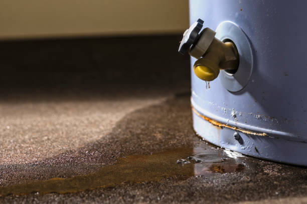 Best Local water damage restoration  in Weston, NJ
