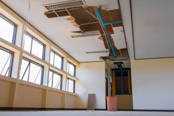 Best Water damage restoration near me  in Weston, NJ