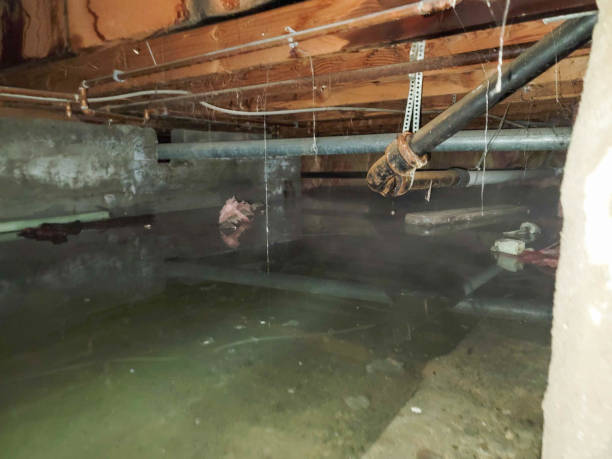 Best Residential water damage restoration  in Weston, NJ