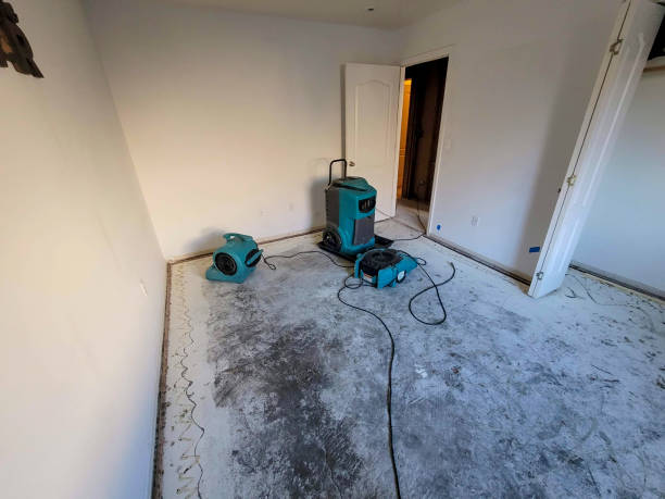 Best Mold removal after water damage  in Weston, NJ