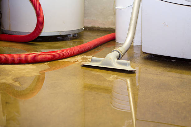 Best Mold removal after water damage  in Weston, NJ