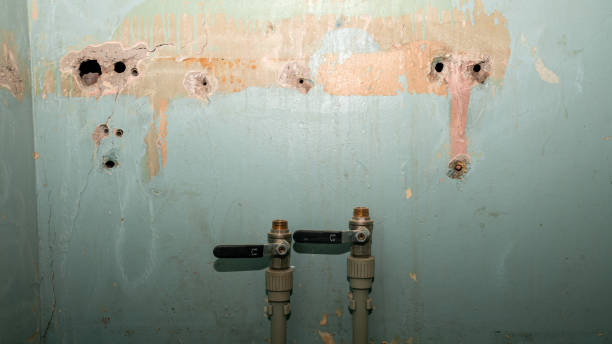 Best Carpet water damage restoration  in Weston, NJ