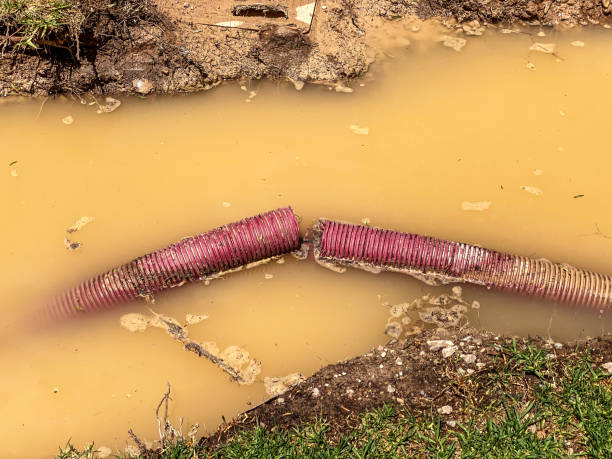 Best Water damage repair service  in Weston, NJ