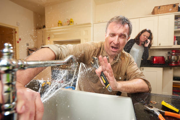 Best Professional water damage repair  in Weston, NJ